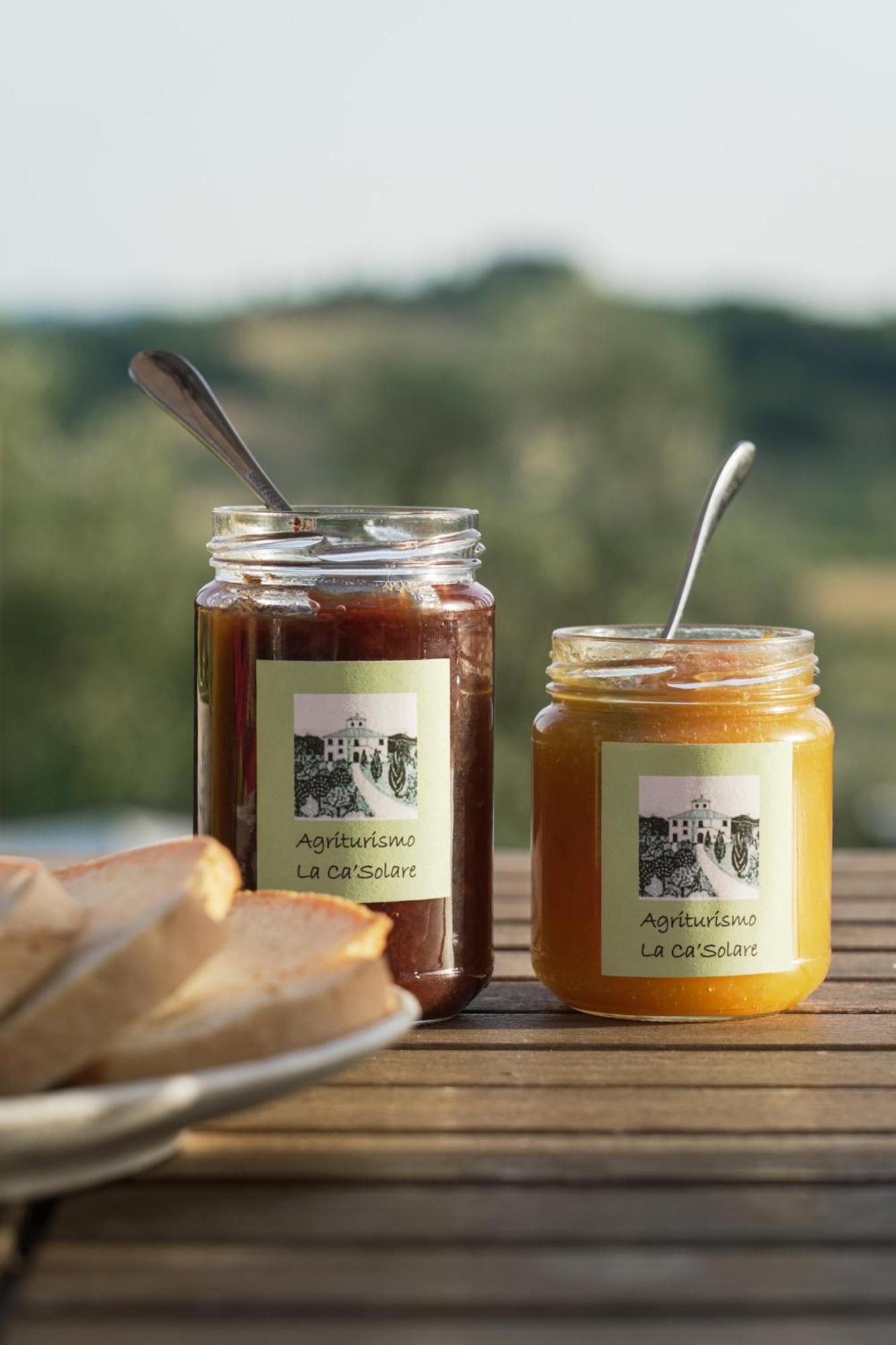 Agriturismo La Ca'Solare Palaia Εξωτερικό φωτογραφία